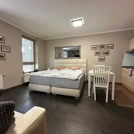 Harrachov Resident Apartments "Terrace & Chill" - High Speed Wifi, Smart Tv, Netflix, Disney Plus エクステリア 写真