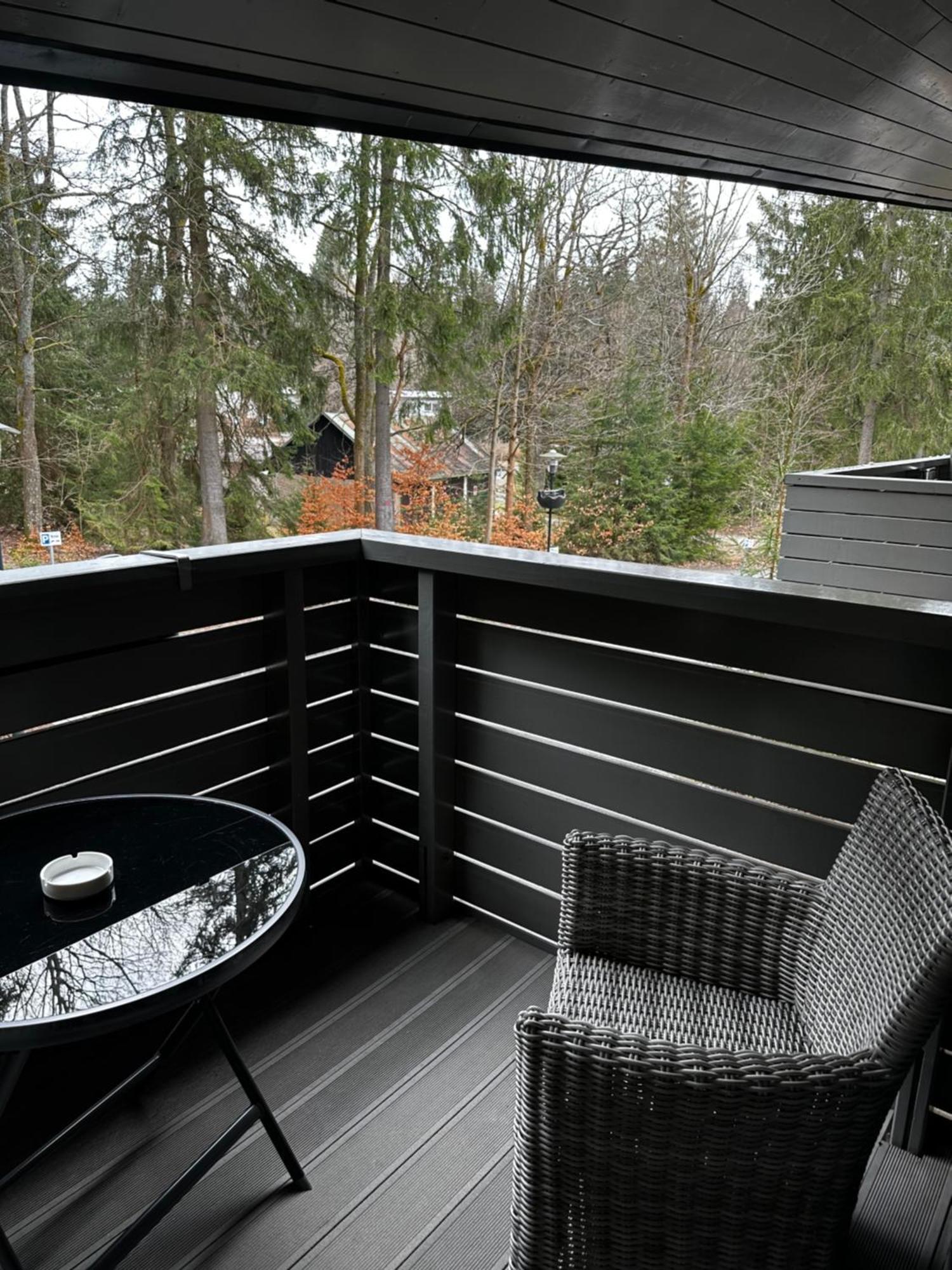 Harrachov Resident Apartments "Terrace & Chill" - High Speed Wifi, Smart Tv, Netflix, Disney Plus エクステリア 写真