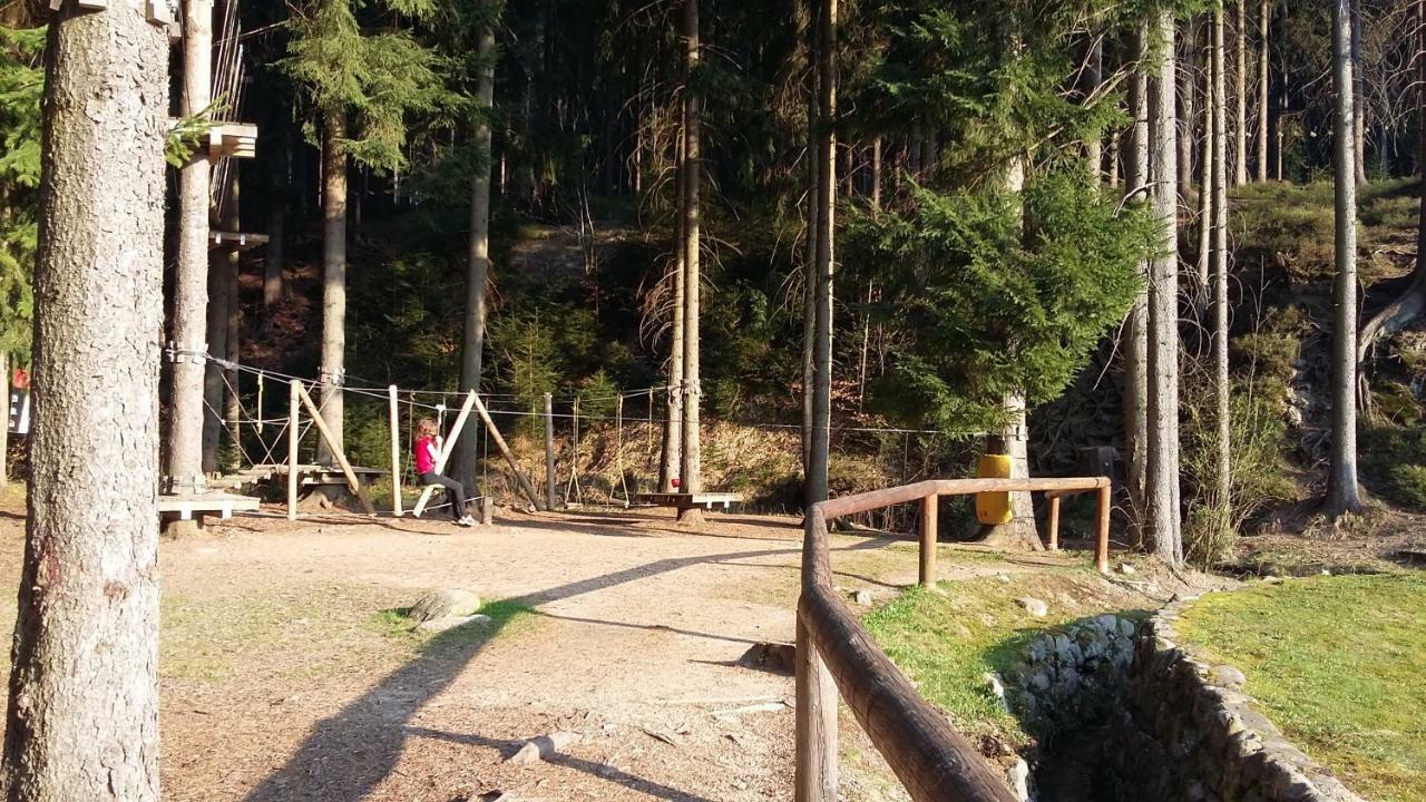 Harrachov Resident Apartments "Terrace & Chill" - High Speed Wifi, Smart Tv, Netflix, Disney Plus エクステリア 写真